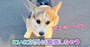 にいに以外は緊張しちゃう