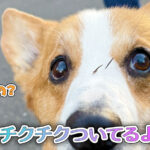 チクチクついてるよ