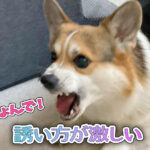 誘い方が激しい