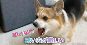 誘い方が激しい