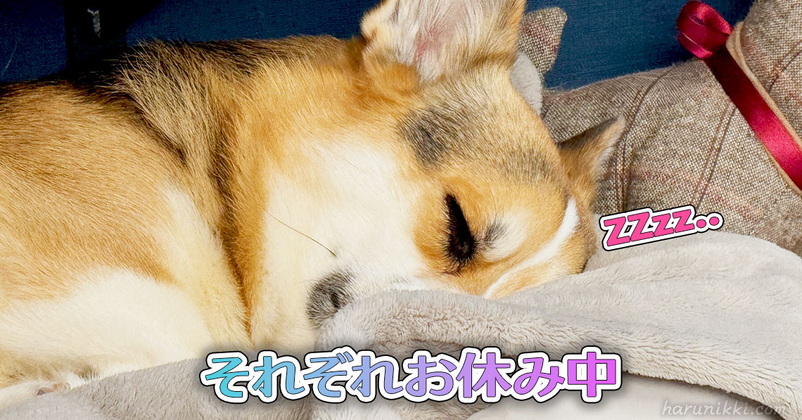 それぞれお休み中