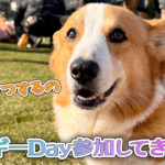 コーギーDay参加してきました