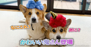 かわいい鬼さん登場