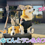 はるてんとラン＆カフェ