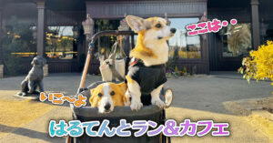 はるてんとラン＆カフェ