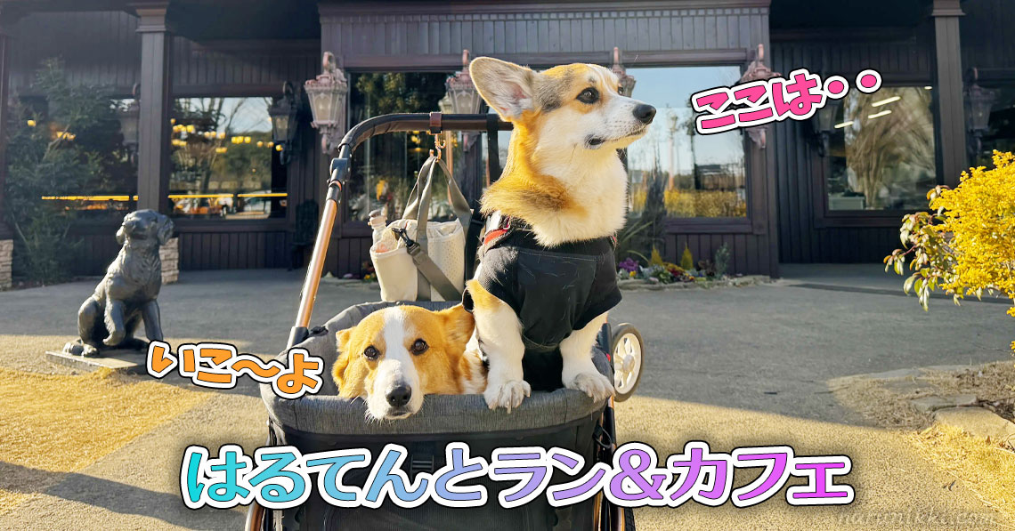 はるてんとラン＆カフェ