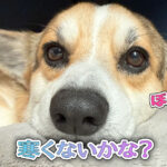 寒くないかな？