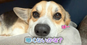 寒くないかな？