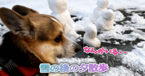 雪の後の夕散歩