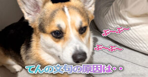 てんの文句の原因は・・