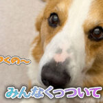 みんなくっついて