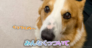 みんなくっついて