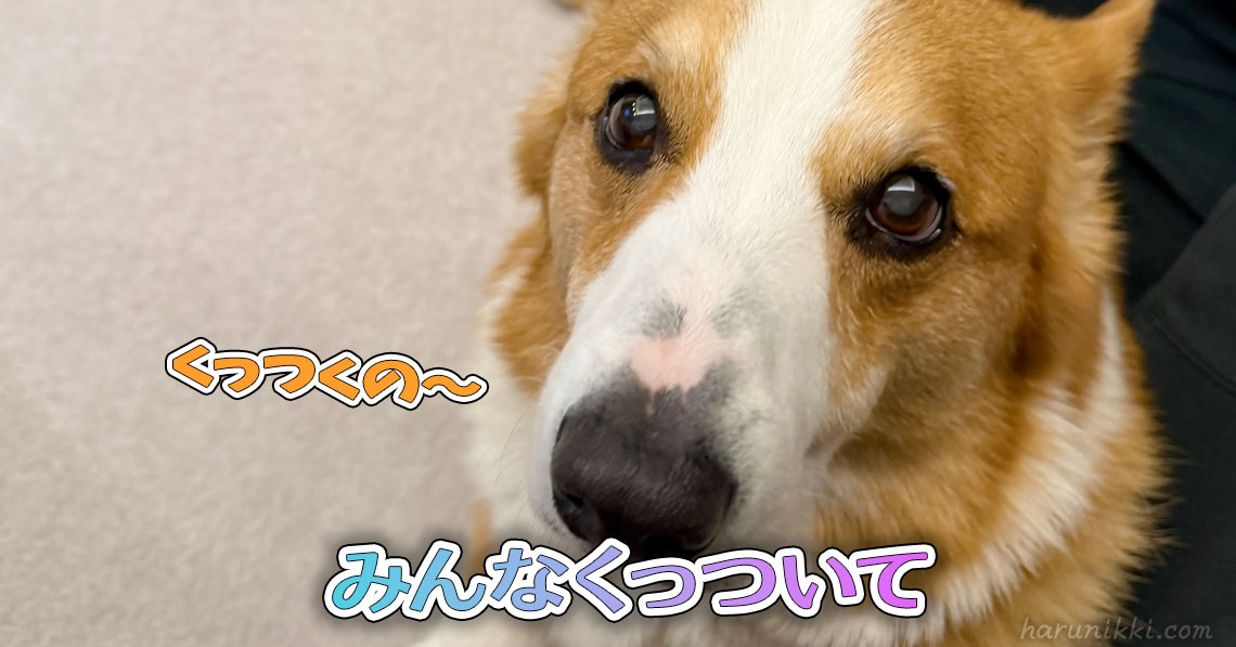 みんなくっついて