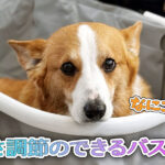 高さ調節のできるバスタブ