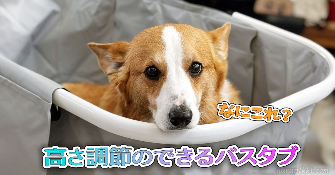 高さ調節のできるバスタブ