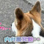 内弁慶発動・・