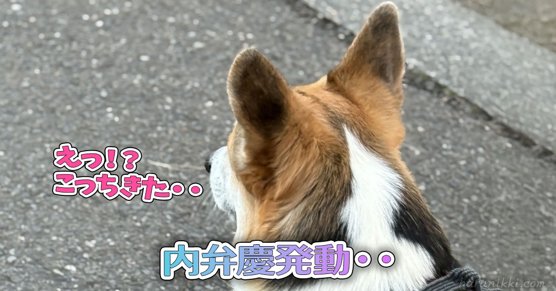 内弁慶発動・・