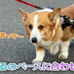 はるのペースに合わせて