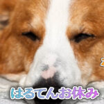 はるてんお休み