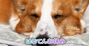 はるてんお休み