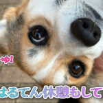 はるてん休憩もして！