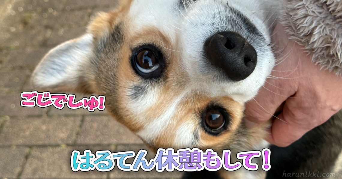 はるてん休憩もして！