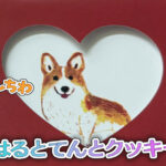 はるとてんとクッキー