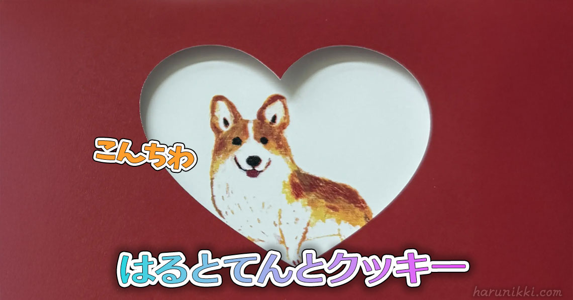 はるとてんとクッキー