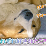 それぞれ好きなところで