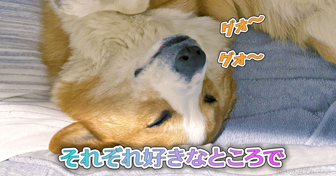 それぞれ好きなところで