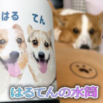 はるてんの水筒