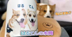 はるてんの水筒