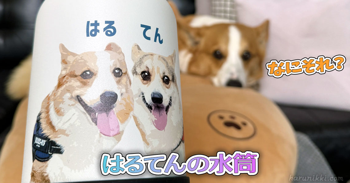 はるてんの水筒