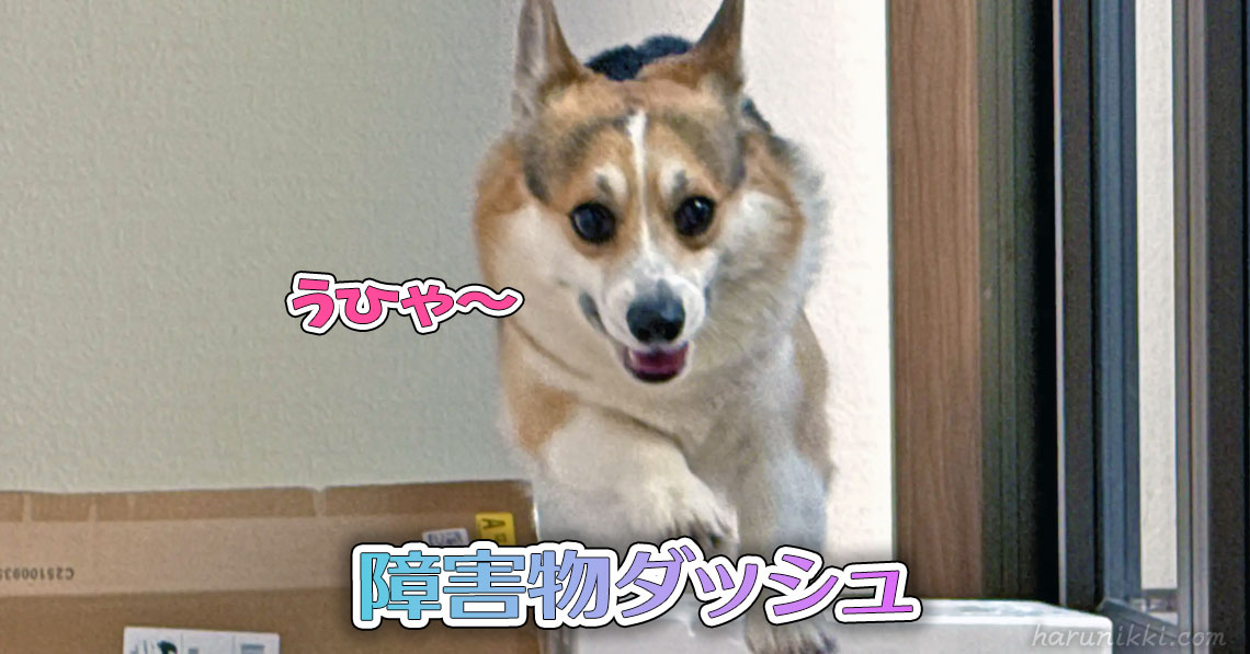 障害物ダッシュ