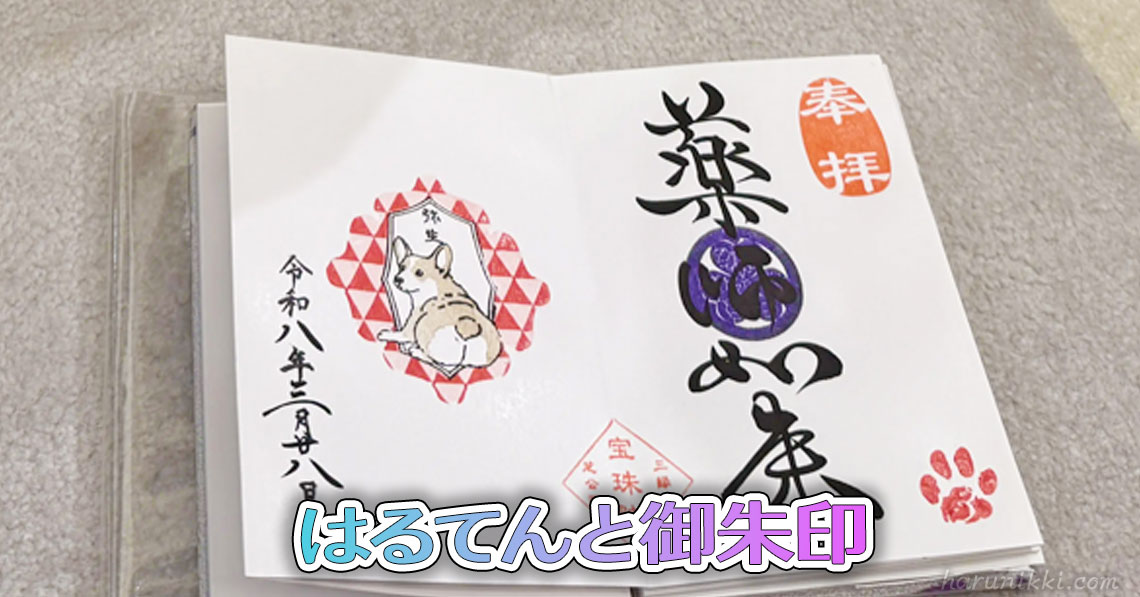 はるてんと御朱印