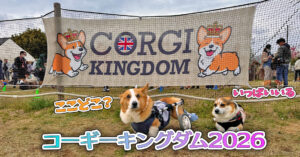 コーギーキングダム2026