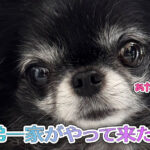 弟一家がやって来た！