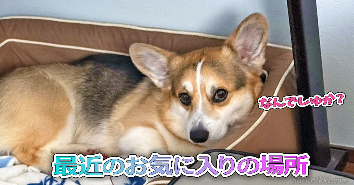 最近のお気に入りの場所