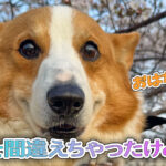 道を間違えちゃったけど・・