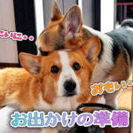 お出かけの準備