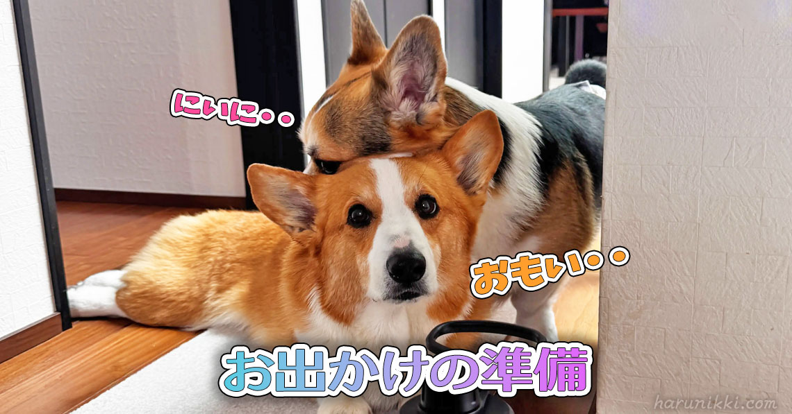 お出かけの準備