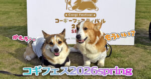 コーギーフェスティバル2026spring