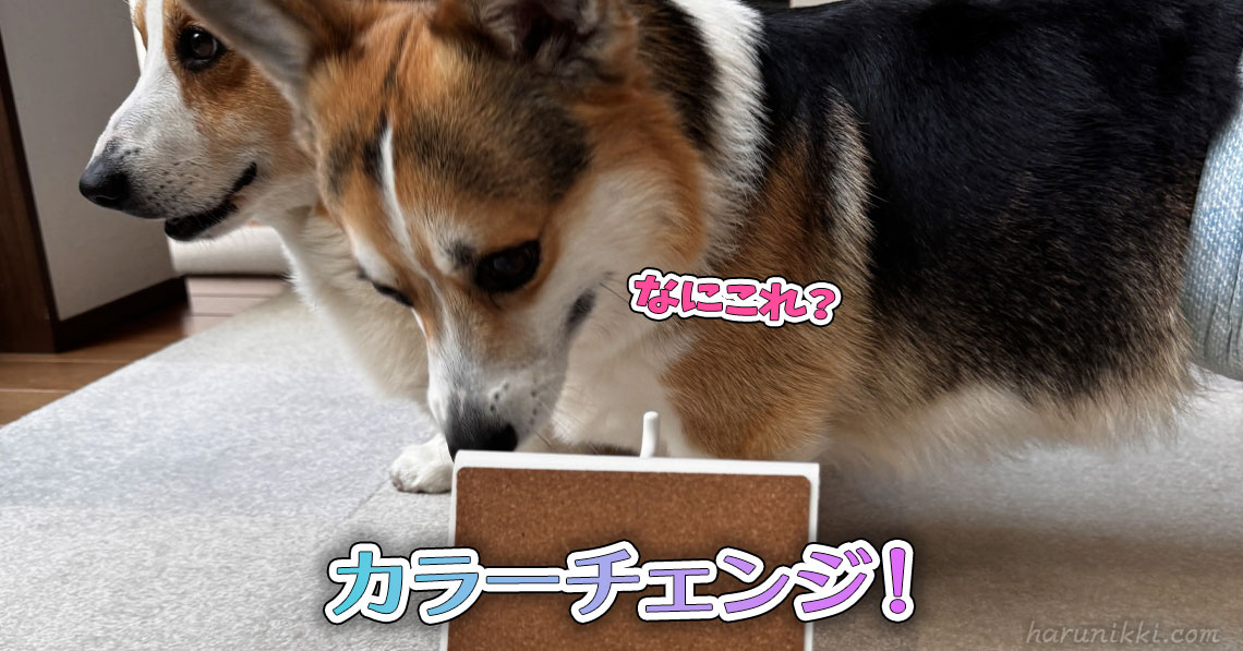 カラーチェンジ！