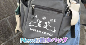 Newお散歩バッグ