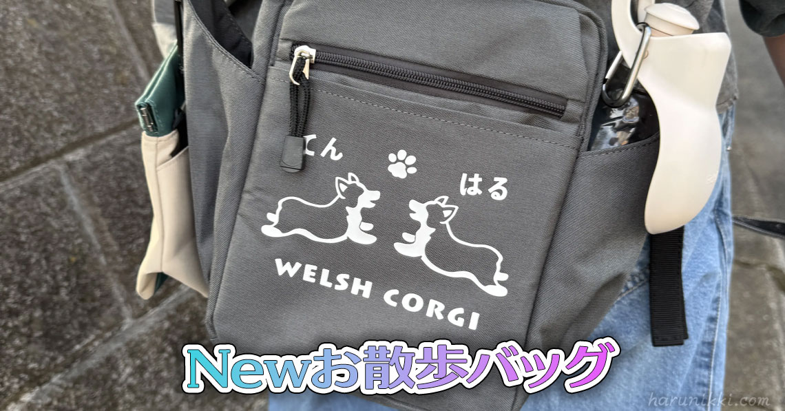 Newお散歩バッグ