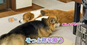 そっと寄り添う
