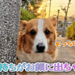 気持ちがお顔に出ちゃう