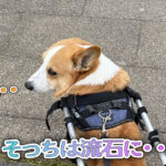 そっちは流石に・・