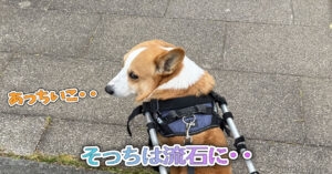 そっちは流石に・・