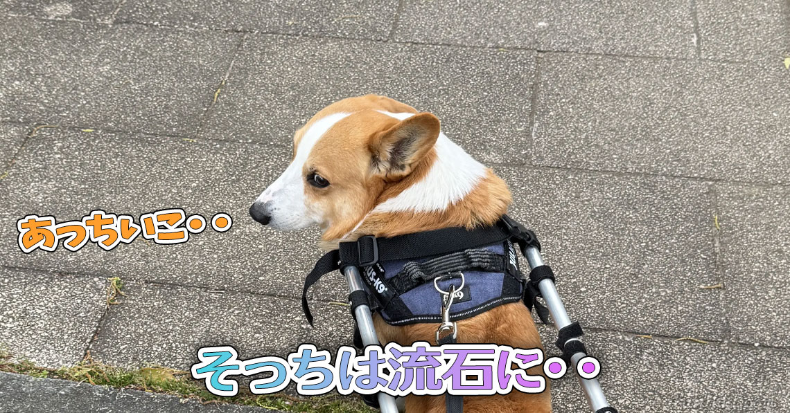 そっちは流石に・・